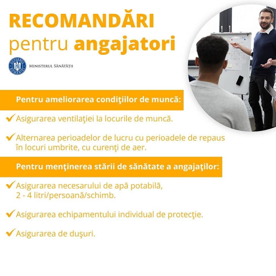 CANICULA 12
